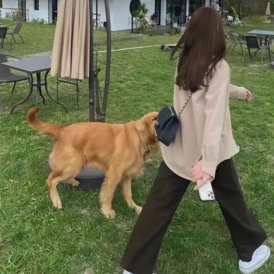 守护者们
